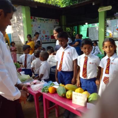 ප්‍රාථමික අංශයේ සිගිති පොළ